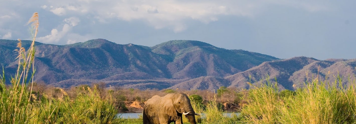 Parque Nacional Zambezi Inferior