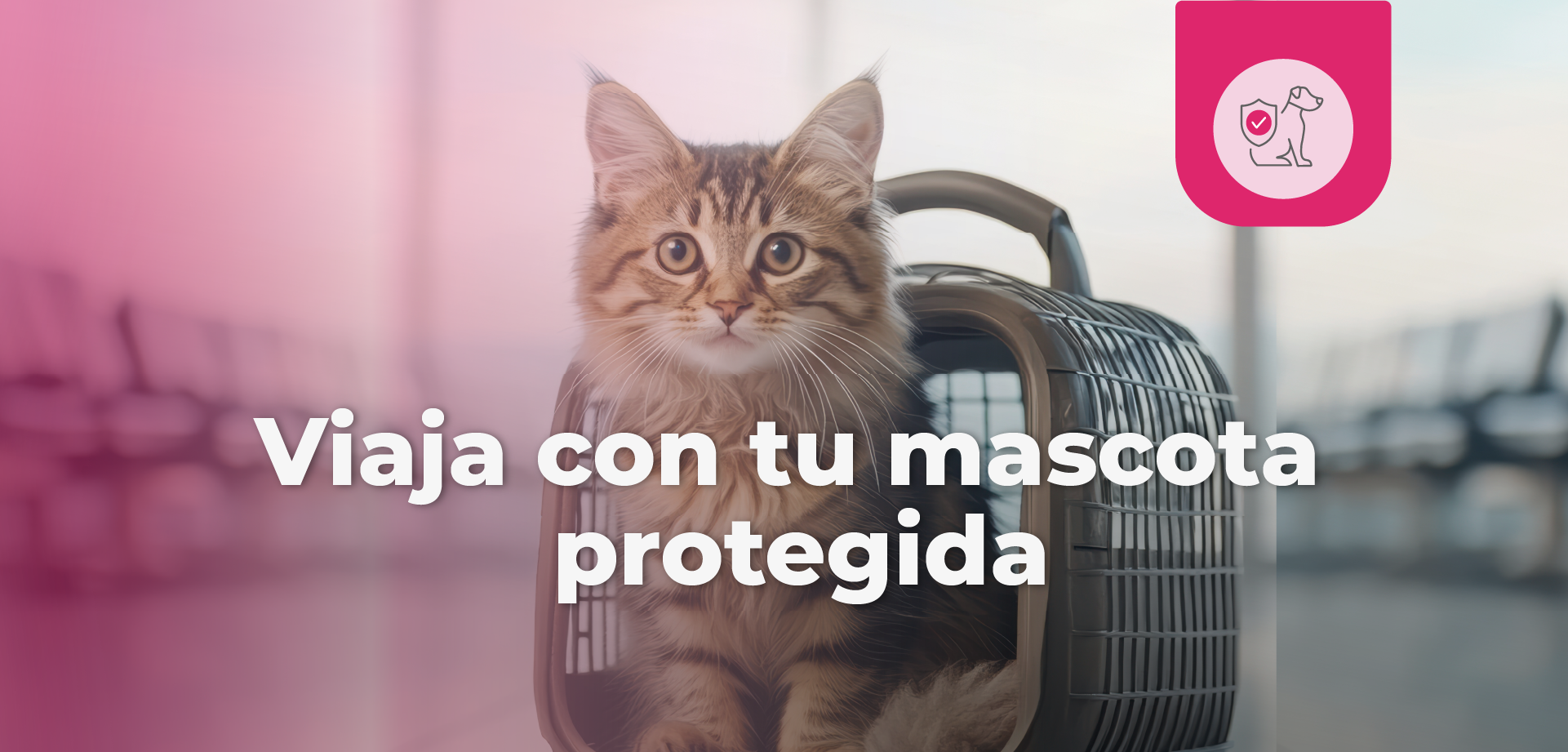 Viajar con mascota protegida