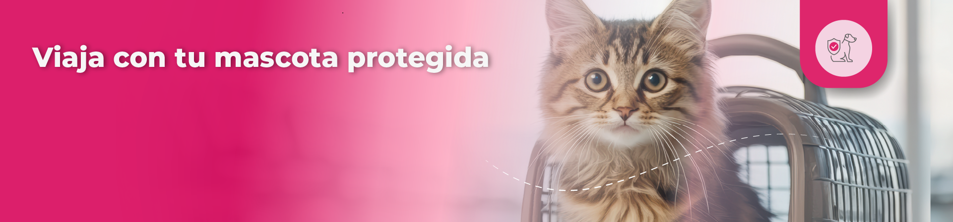 Viajar con mascota protegida